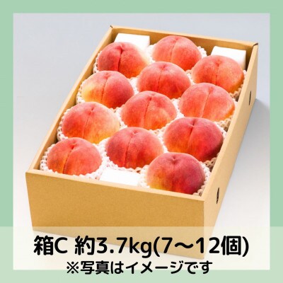 山梨 萩原フルーツ農園の桃　白桃C (約3.7kg 7～12個入)【配送不可地域：離島】