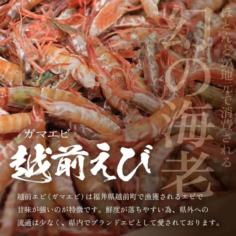 【背わた処理 殻むき不要】幻と呼ばれる「越前えび」（むき身）1㎏（200g×5袋）【えび   国産】 [e15-b015]