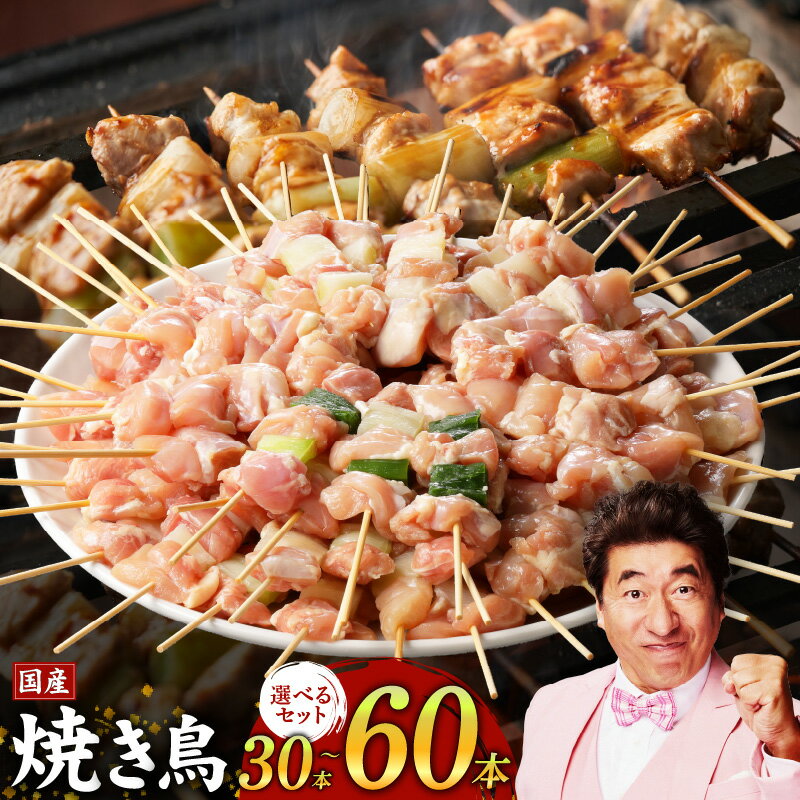 【ふるさと納税】焼鳥 バーベキュー BBQ キャンプ アウトドア 惣菜 小分け 鶏肉 お肉 国産 簡単 調理 おつまみ 酒の肴 焼鳥丼 食品 食べ物 お取り寄せ お取り寄せグルメ 関西 大阪府 泉佐野市 冷凍 送料無料