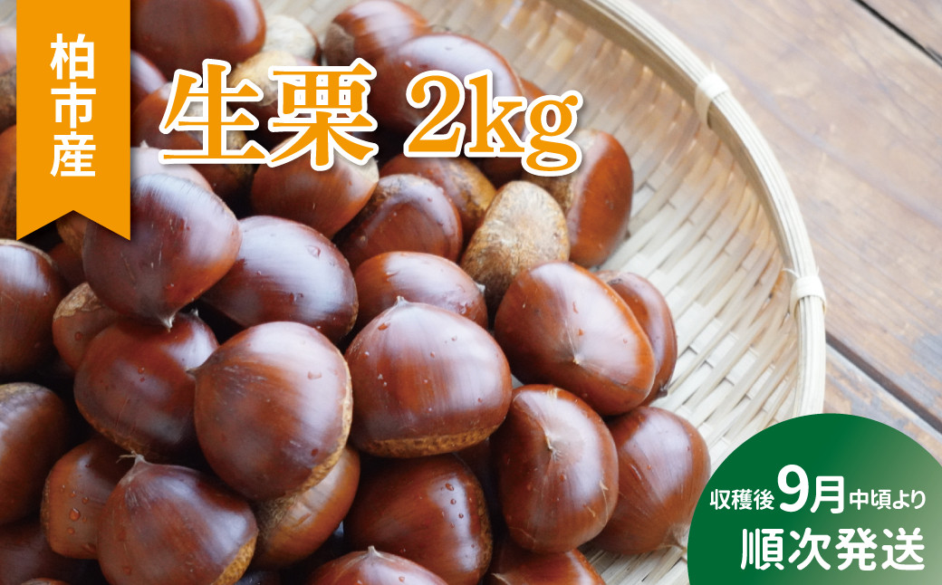 
柏市産　栗　2kg
