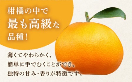 【2027年2月-発送】期間限定！せとか 2kg / みかん ミカン 蜜柑 みかん ミカン ミカン 果物 フルーツ 贈答用 化粧箱 / 南島原市 / JA島原雲仙東南部基幹センター[SAC002]