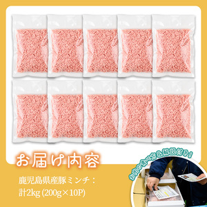 豚ミンチ10袋詰合せ 計2kg(200g×10P) 鹿児島県産 豚 ミンチ【株式会社南給】A588