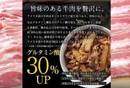 【2ヵ月定期便】牛丼 松屋 プレミアム仕様 牛めしの具 10個 冷凍 セット