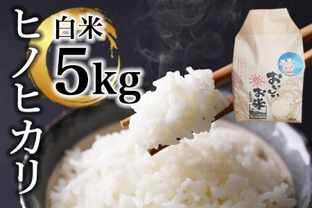 米 ヒノヒカリ 5㎏(令和7年産)　白米【18-047】