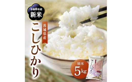 令和8年産 新米 コシヒカリ 精米  5kg | こしひかり お米  茨城県かすみがうら市産【1268974】