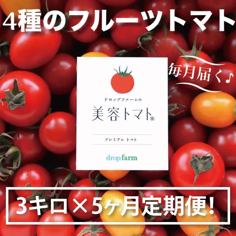 【5ヶ月定期便】【11月より順次発送】ドロップファームの美容トマトおまかせ3kg箱(４種ミックス)（CK-24）
