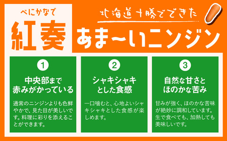 甘～いニンジン 十勝 浦幌べにかなで 【訳あり・不揃い】 約2kg 10～20本 農事組合法人レギューム《12月上旬から5月上旬頃出荷》北海道 浦幌町 人参 にんじん 安心 安全 野菜 お野菜 やさい