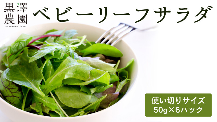 
黒澤農園 の ベビーリーフサラダ （ 50g × 6パック ） 使い切りサイズ ベビーリーフ サラダ 生野菜 食べやすい 若葉 使い切り 旬 新鮮 国産 彩り 大容量
