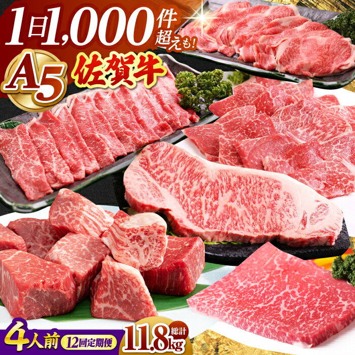 【ふるさと納税】【全12回】 4人前 佐賀牛 食べつくし定期 【山下牛舎】 [HAD111] / 食品 精肉 牛肉 肉 お肉 セット 詰め合わせ 肉 定期便 定期 ステーキ スライス 焼肉 ロース 赤身 カルビ a5 A5ランク 送料無料 佐賀県 江北町 冷凍 505000 505000円