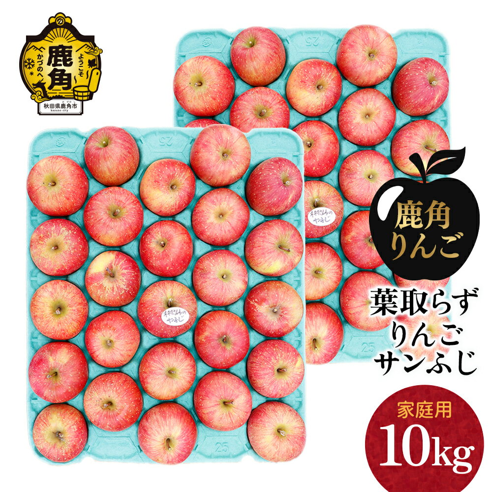 【ふるさと納税】《 先行予約 》 りんご 訳あり 葉取らず サンふじ 家庭用 小玉 10kg（46～50玉）【録政園】 葉とらず みずみずしい 果汁 リンゴ 林檎 完熟 旬 県産りんご お中元 お歳暮 贈り物 お見舞い グルメ ギフト 故郷 秋田県鹿角市産 送料無料