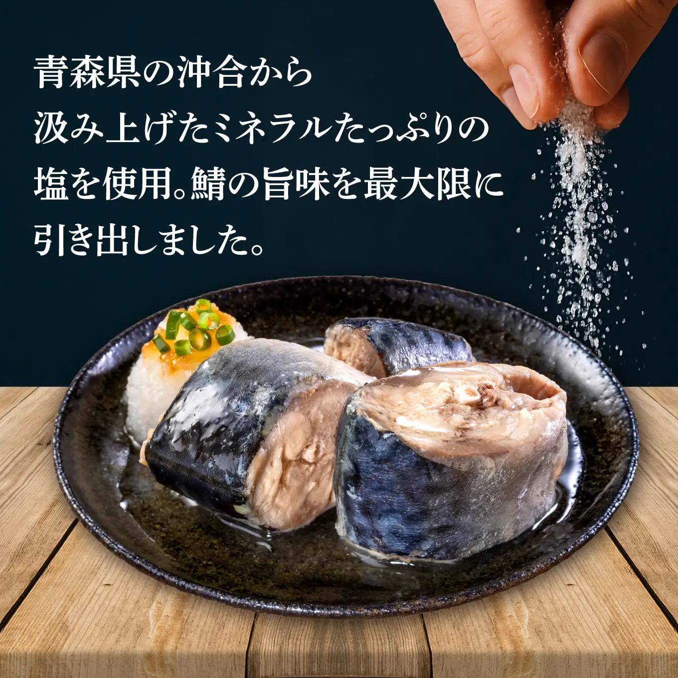 HOKO 鯖水煮 津軽海峡の塩使用 ＜24缶＞ 1缶200g 国産さば 宝幸 おかず おつまみ 缶詰 非常食 保存食 長期保存 青森県 八戸市