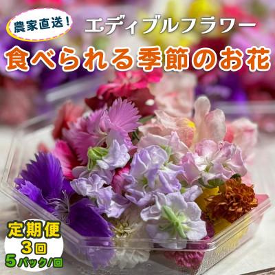 ふるさと納税 伊勢原市 【毎月定期便】加藤さんちのエディブルフラワー5パック (1パックあたり季節のお花15〜30輪)全3回