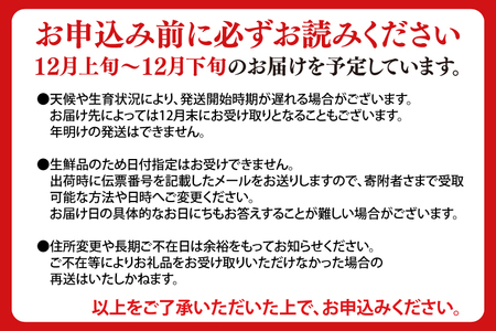 【先行予約】数量限定 プレミアム「冬恋」約2.5kg【冬恋研究会】 (AI008)