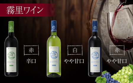霧里ワイン＆TOMOEワイン おすすめ６本セット ワイン 受賞 飲み比べ ワインセット ギフト 三次市 / 広島三次ワイナリー[APAZ036]