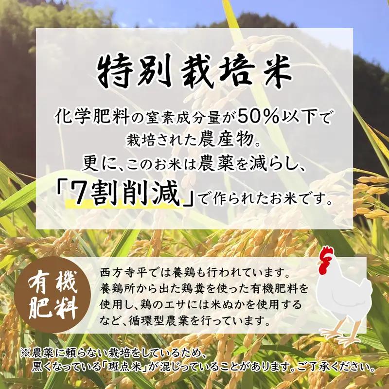 令和8年度産 新米 予約受付 棚田米 10kg 玄米 コシヒカリ 特別栽培米 7割削減