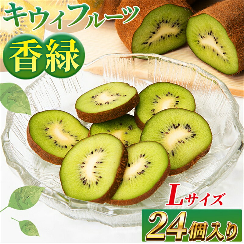 【ふるさと納税】希少キウイフルーツ 「香緑」。Lサイズ 24個入り 糖度16度。甘くておいしい【 高級ブランド】＜出荷時期：2025年12月15日出荷開始～2026年1月15日出荷終了＞｜キウイ フルーツ 果物 くだもの 神奈川県 南足柄市