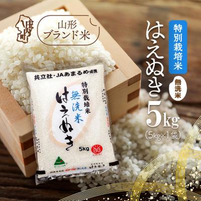 ふるさと納税 庄内町 庄内町産 特別栽培米はえぬき無洗米 5kg 令和7年産 2025年産 ブランド米