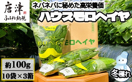 
            『先行予約』【12月上旬より順次発送】冬穫れハウスモロヘイヤ 100g×10袋×3箱 ネバネバ 高栄養価（βカロテン/各種ビタミン/カルシウム/カリウム/葉酸など) 定番おひたし 和洋中の各種スープ 色んなお料理のソースにも 野菜 ねばねば
          