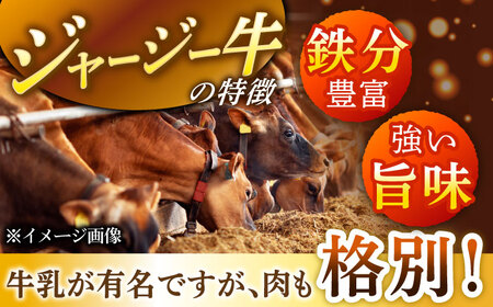 【全3回定期便】自家産 牛肉 ビーフジャーキー 約50g×10袋【山の未来舎】[YBV048]
