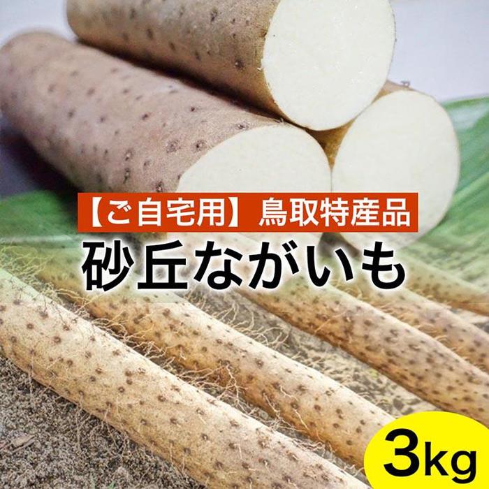 【ふるさと納税】【ご自宅用】鳥取特産品 砂丘ながいも（カット）3kg | 家庭用 長芋 芋 いも とろろ 鳥取県産 北栄町 新鮮 おすすめ 人気 鳥取県産
