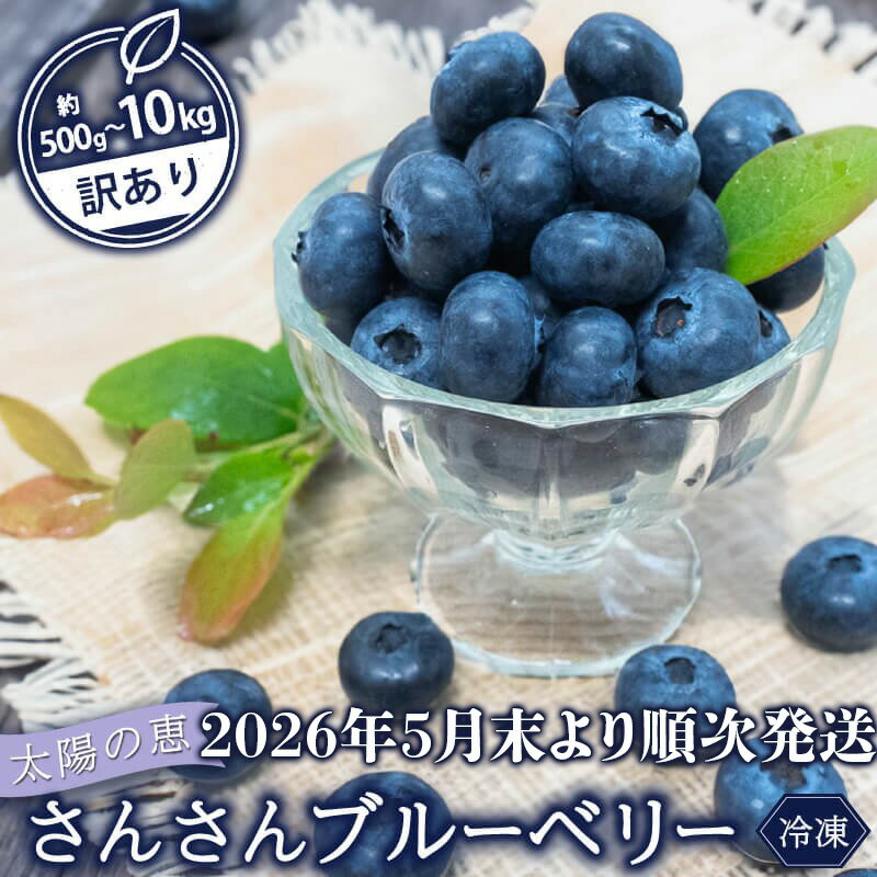 【ふるさと納税】 【早期予約開始 2026年5月末より順次発送】 ブルーベリー 訳あり 冷凍 選べる 容量 500g 1kg 2kg 3kg 5kg 10kg 高知 須崎市 果物 フルーツ
