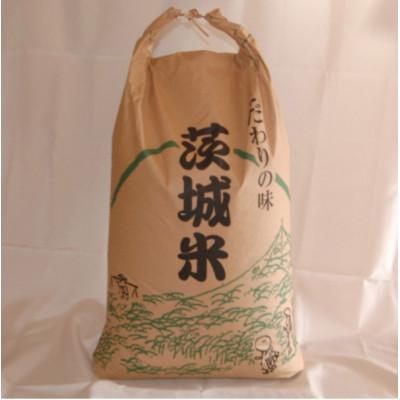 ふるさと納税 石岡市 【令和7年産】獅子米 いのちの壱 玄米 10kg