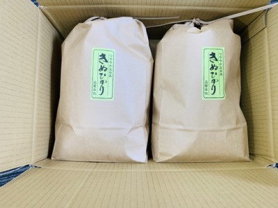 【新米】令和7年産　近江米　キヌヒカリ【10kg（5kg×2袋）】環境こだわり米【AB63U1】