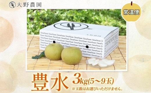 梨3kg 豊水 5～9玉
