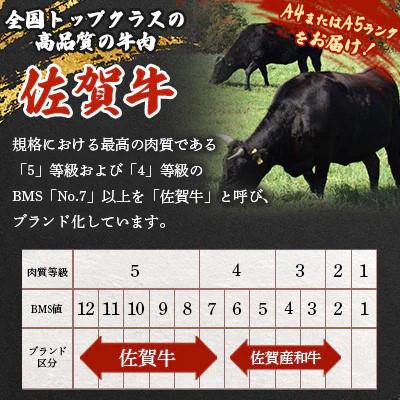 ふるさと納税 佐賀県 佐賀牛サーロインステーキ200g×2枚(上場亭秘伝のスパイス付)(佐賀県)【A0161-0001】 |  | 01