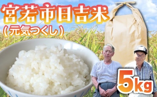 【令和7年産】日吉産 元気つくし 5kg [M909-1]