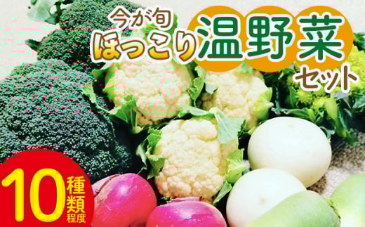野菜セット まさに旬 ほっこり温野菜セット -お野菜詰め合わせ 朝採れ 朝採り 新鮮 お手軽 簡単調理 ブロッコリー 人参 にんじん ニンジン カリフラワー 大根 だいこん かぶ カブ 鍋 炒め 蒸し 無農薬 産地直送 特産品 旬彩ファームやまさき 高知県 香南市 sy-0006