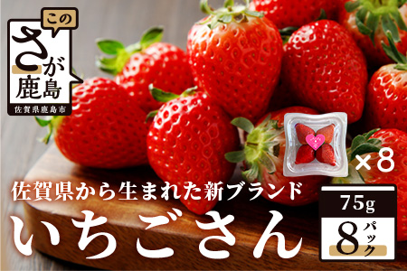 【先行予約】いちご 新ブランド 【いちごさん】 てのひらギフトセット 75g×8パック 計600g 1パック4～5玉入 【2024年1月上旬～3月発送】 JA直送 鮮度抜群 佐賀県 鹿島市 A-153