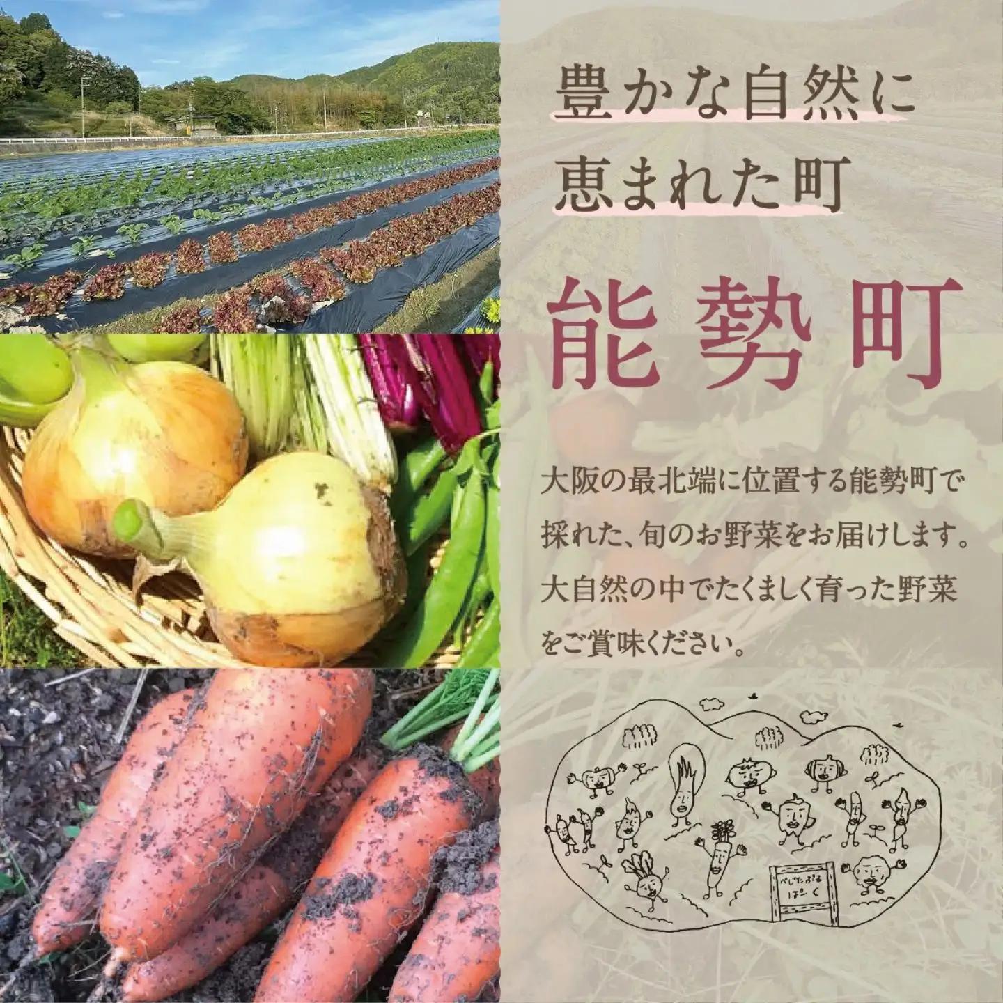 [定期便 12回] 【大阪能勢産】 《農家直送》 べじたぶるぱーくの旬の新鮮野菜詰合せ Sセット (5種類) | 12回(毎月) 定期便 12ヶ月 定期 野菜詰め合わせ 野菜 農薬 化学肥料不使用 新