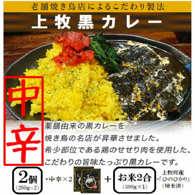 【ふるさと納税】【ご当地カレー選べる辛さ】上牧黒カレー2個+地元米(ひのひかり)2合をセット【G1439531】