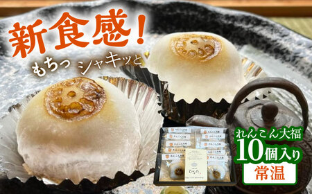れんこん大福10個入り 常温 菓子 和菓子 大福 愛西市 / 茶菓専科ひなた[AECO003-2]