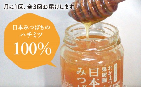 【全3回定期便】福岡県 糸島産 わかまつ 果樹園 の 日本 蜜蜂 の はちみつ 100％ PURE RAW 糸島市 / わかまつ農園[AHB032] 蜂蜜自然栽培の果樹園の木々の下に住む希少な日本みつ
