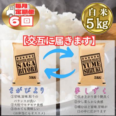 ふるさと納税 江北町 【毎月定期便】食べ比べ白米5kg(さがびより・夢しずく)(江北町)全6回 |  | 01
