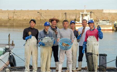 〈3Lサイズ7個〉年中うまい！丹精込めた「うつみかき小町」(殻付)