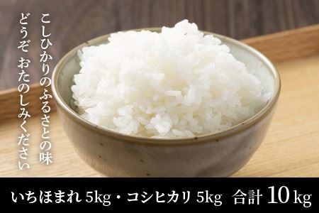 【試食PR用】福井県産 いちほまれ ＆ コシヒカリ 計10kg【A-3281】