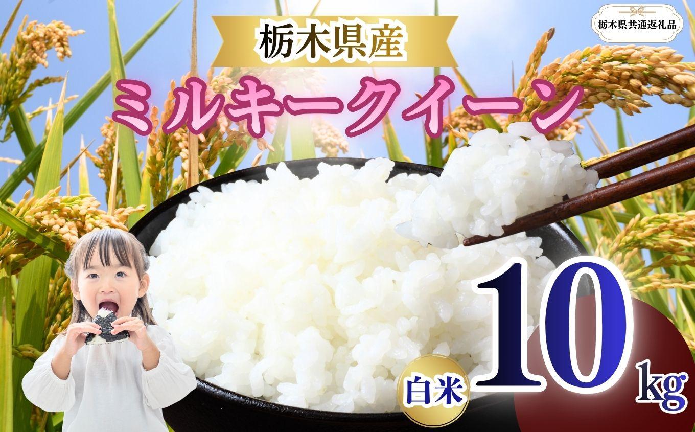 栃木県産 ミルキークイーン 白米 10kg 2026年 先行予約 | 栃木県 矢板市