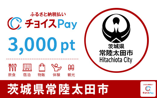 
            常陸太田市チョイスPay 3,000pt【会員限定のお礼の品】
          