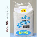 【ふるさと納税】【定期便】令和6年産先行予約・減農薬コシヒカリ「SNOW RICE」玄米＜毎月5kg×12か月＞