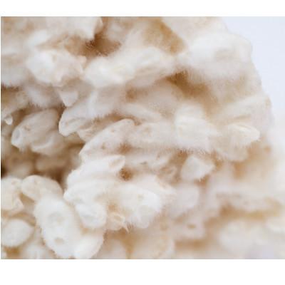 ふるさと納税 舞鶴市 生米麹1kg |  | 02