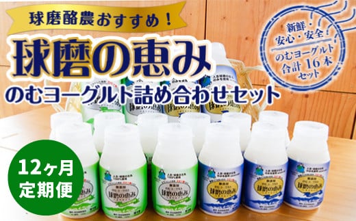 
            【12ヶ月定期便】のむヨーグルト詰め合わせセット
          