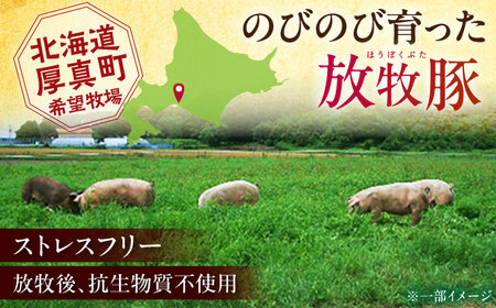 放牧豚 ベーコンスライス 計650g（65g×10）《厚真町》　【ファーマーズファクトリー株式会社】[AXBA111]