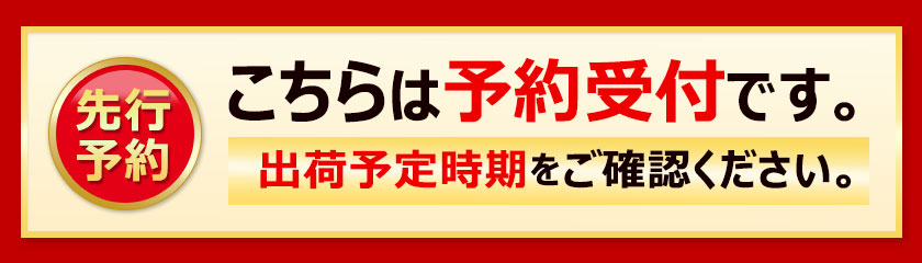 MH140-0047-500_【10月〜4月配送限定】【ゆうパケット】割れチョコ ブルーポーション 150g×2