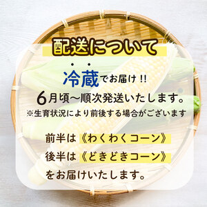 とうもろこし わくわくコーン どきどきコーン 6 ～ 7 本 約 2.5kg 糖度18 ~ 19度 甘い 美味しい おいしい 野菜 バーベキュー BBQ 産地直送 新鮮 生鮮 食品 静岡県 牧之原市 