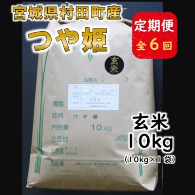 【毎月定期便】宮城県村田町産つや姫　玄米10kg(10kg×1)全6回【4058059】