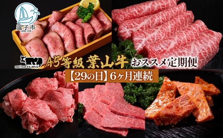 葉山牛黒毛和牛カルビ切り落し霜降り冨士屋牛肉店葉山牛【定期便】