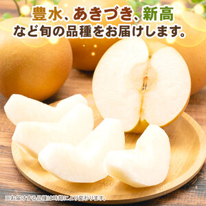 千葉県産 梨 品種おまかせ 約5kg 7～14玉入り 梨 なし ナシ フルーツ 果物 【2026年9月上旬発送開始】